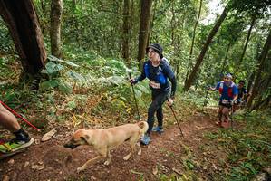 BIB: 
                            <button type="button" onclick="openModal(22467338)" class="btn btn-primary btn-sm float-right btn-popup" data-toggle="modal" data-target=".modal-high-quality">
                        <i class="fas fa-shopping-cart"></i> Add to Cart
                    </button>
                                            <button type="button" onclick="isThisMe(22467338, true)" class="btn btn-success btn-sm float-right btn-popup btn-isme hidden" data-toggle="tooltip" data-placement="bottom" title="นี่คือรูปของคุณใช่ไหม คลิกที่นี่เพื่อเอาเข้าอัลบั้ม">
                        <i class="fas fa-plus"></i> Add to album
                    </button>
                    <button type="button" onclick="isThisMe(22467338, false)" class="btn btn-warning btn-sm float-right btn-popup btn-isnotme hidden">
                        <i class="fas fa-ban"></i> Remove from album
                    </button>